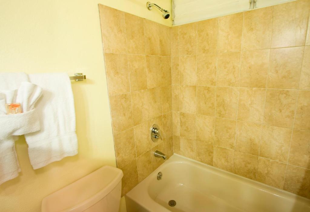 Hotel The Liguanea Club Kingston Pokoj fotografie